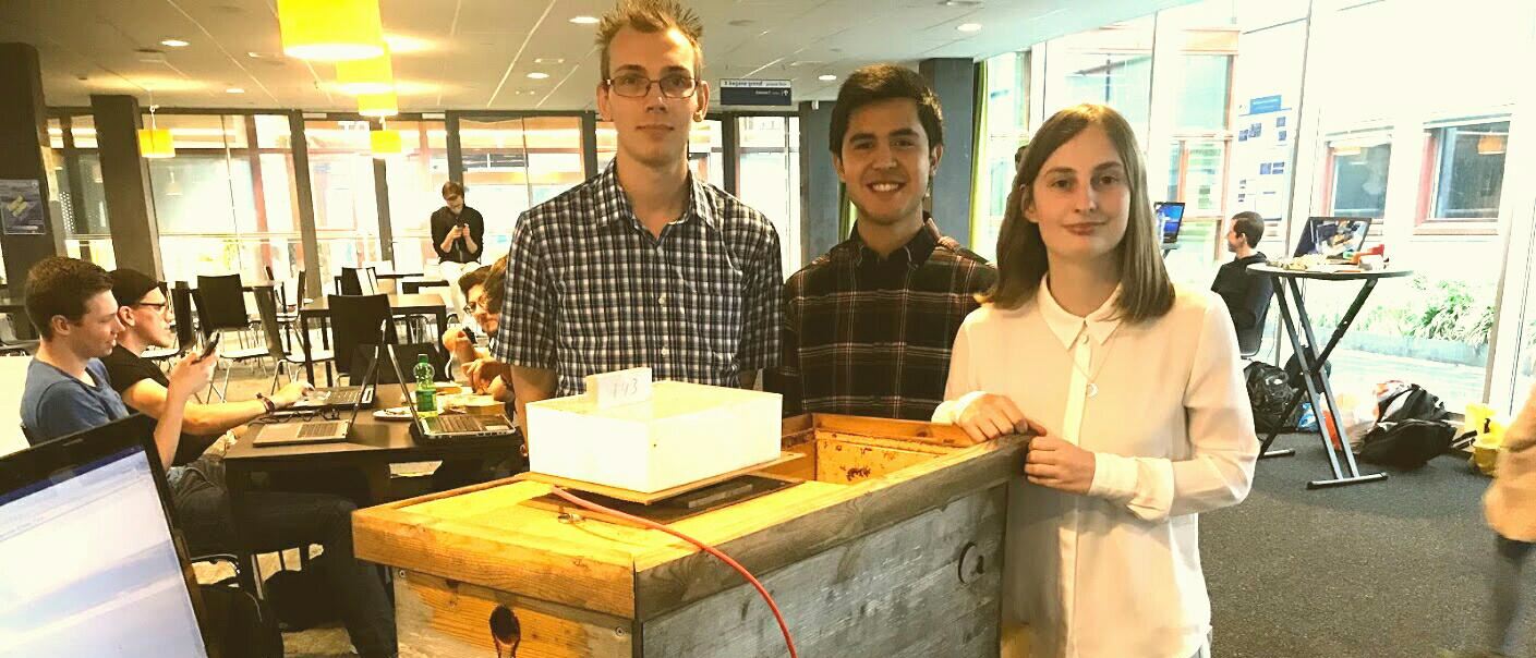 Tembo interns make automated bee monitor for our beehives
