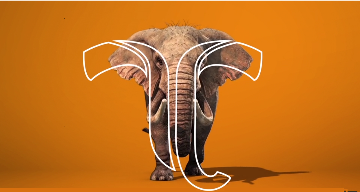 tembo gold tembo gold