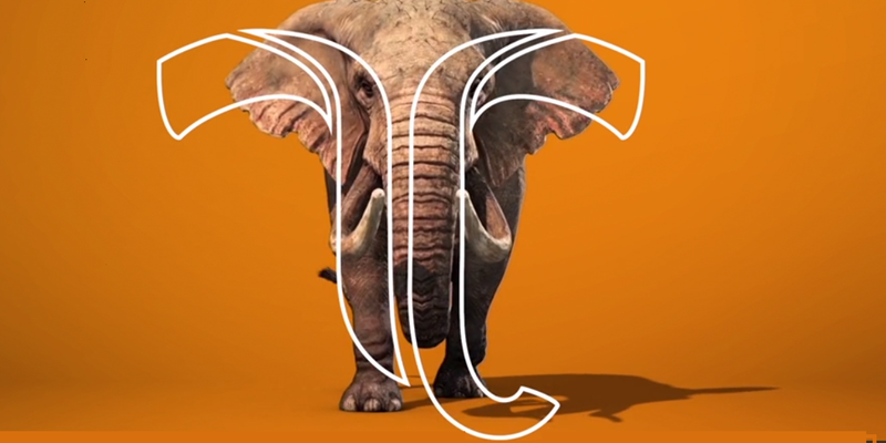 Tembo: a new name for an existing group of companies
