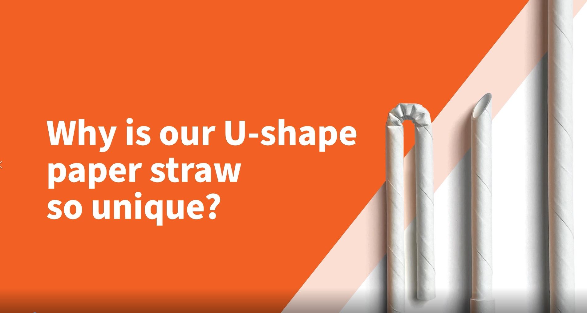Tembo Paper’s U-Shaped Straws: Why Are They So Unique?